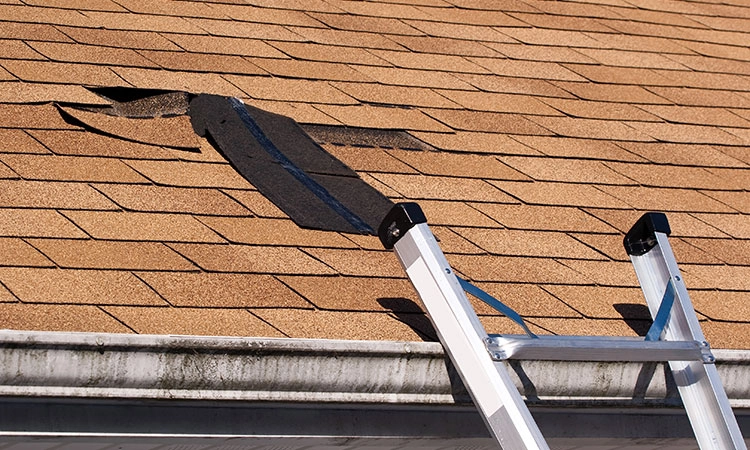 Roof Installation cost