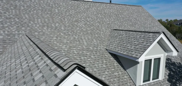 Roof Leak Repair in Brandon