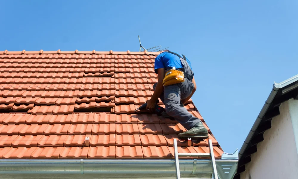 Roof Maintenance